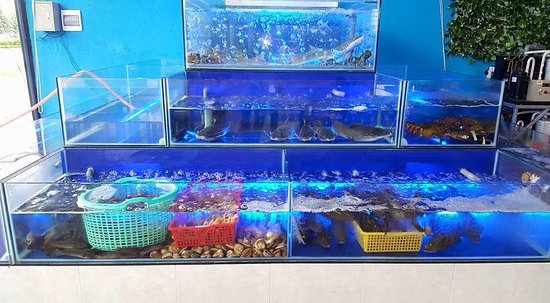 Nơi mua hồ cá quán nhậu thanh lý ở Sài Gòn
