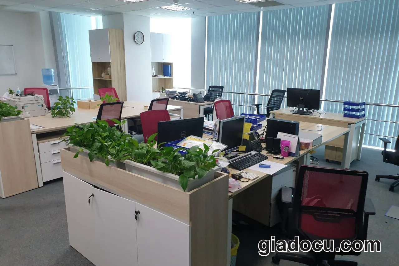 văn phòng làm việc